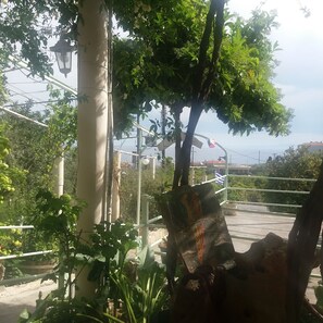 Terrain de l’hébergement 