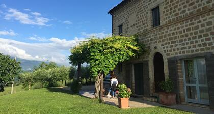 This exceptional house has been lovingly renovated and decorated