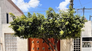 A building with a tiled ground, a tree in front, and a door with a number. - Room in the heart of Cancun (29)