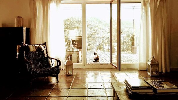 A cozy room with a wicker chair, a small table with books, and a sliding glass door leading to a balcony with a cat. - Country House with Swimming Pool Large Terrace and an amazing panoramic view (Marvão)