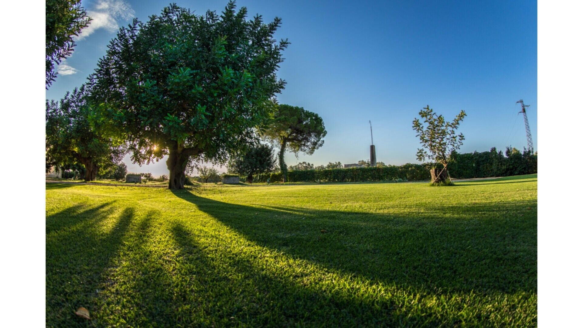 MASSERIA BARONI NEW Exclusive fashion Carrubi Suite