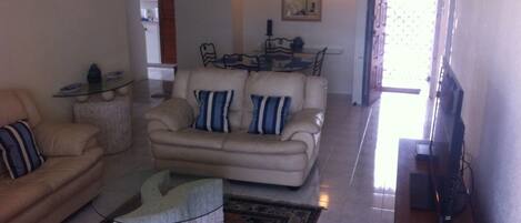 TV, DVD player, books, music library