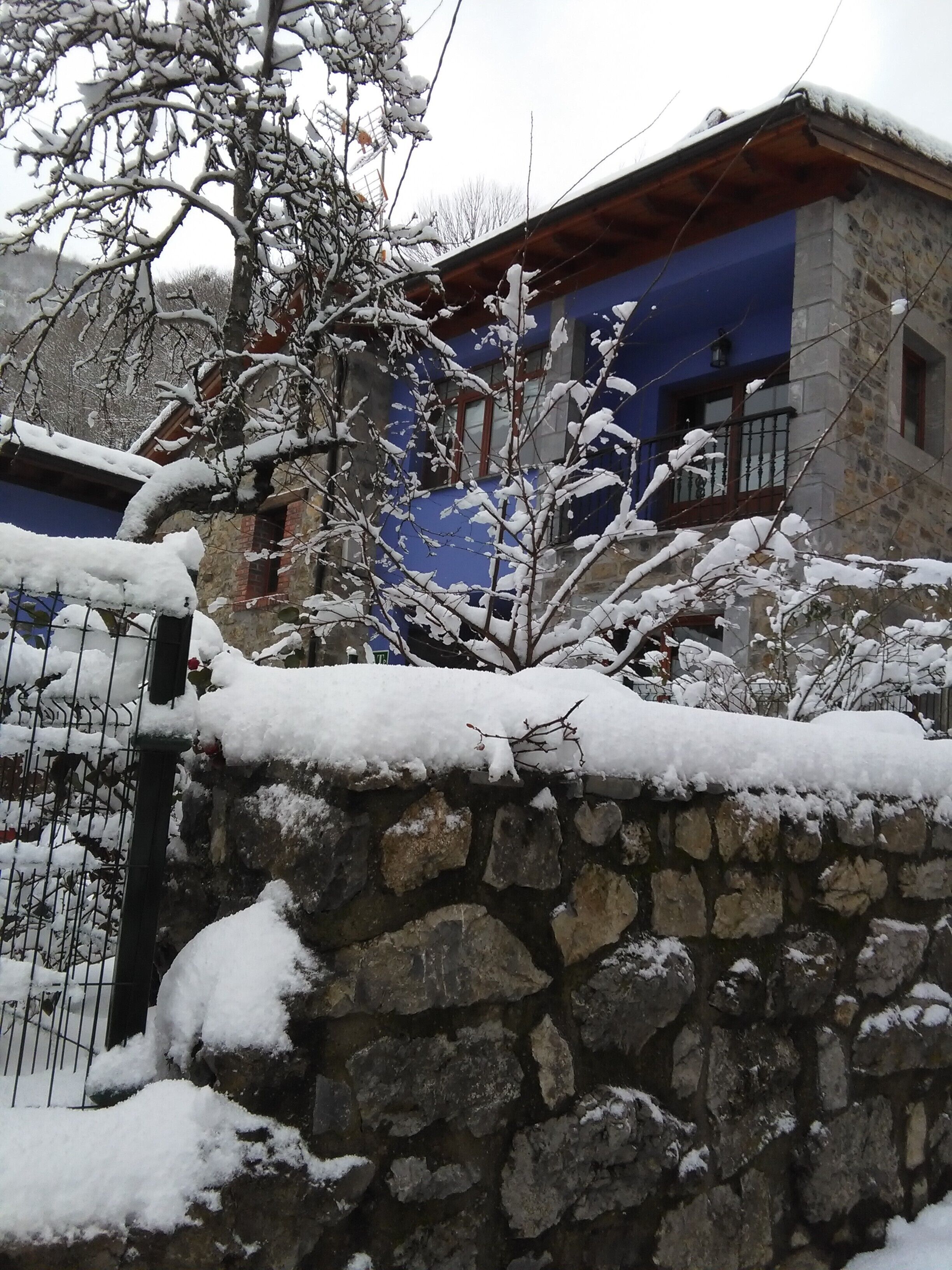 LOS ROSALES I APARTMENT