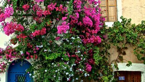 En bygning med en blå dør, en stenplanter med blomster og en trädør.