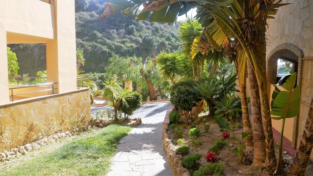 Un sendero pavimentado bordeado por abundante vegetación y un muro de piedra.