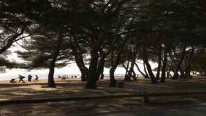 A park with trees and a pathway leading to a beach. - Apartment in France with Pool & Pine Views (La Londe les Maures)