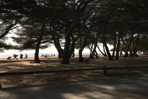 Ein Park mit Bäumen und einem Weg zum Strand.