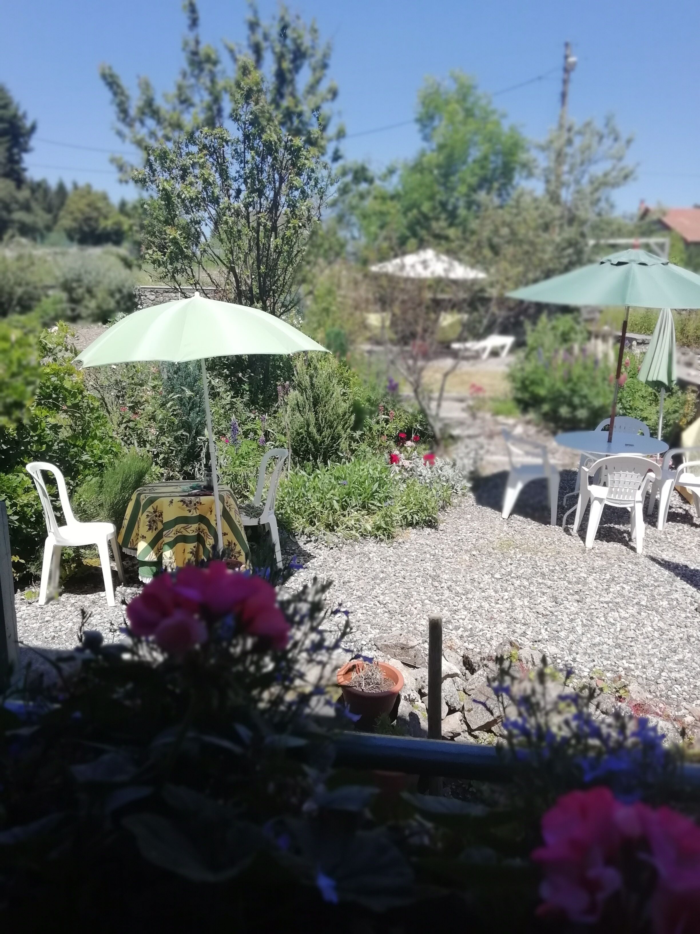 Secluded private garden