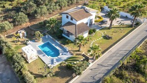 Une maison à deux étages avec une piscine, entourée de palmiers et d’un vignoble.