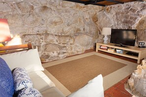 Televisión, reproductor de DVD y libros 