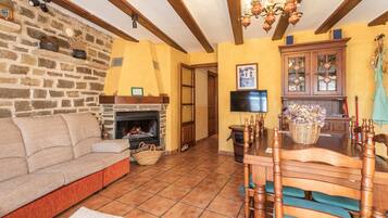 TV, fireplace, DVD player, books
