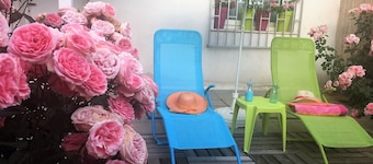 Enjoy the León feeling at home