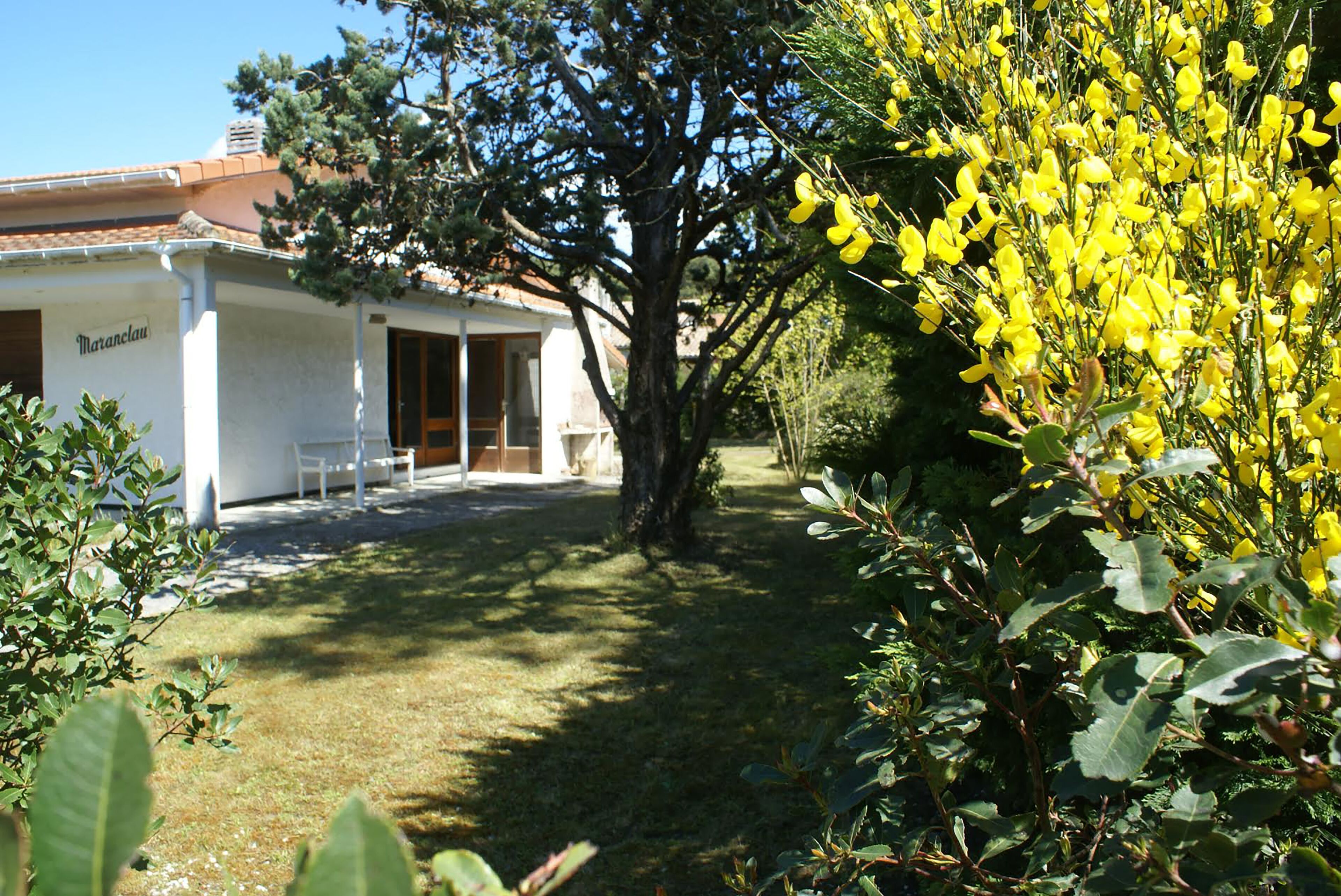 A white building with a tiled roof, a door, and a window. There is a tree in front of the building and yellow flowers to the right.