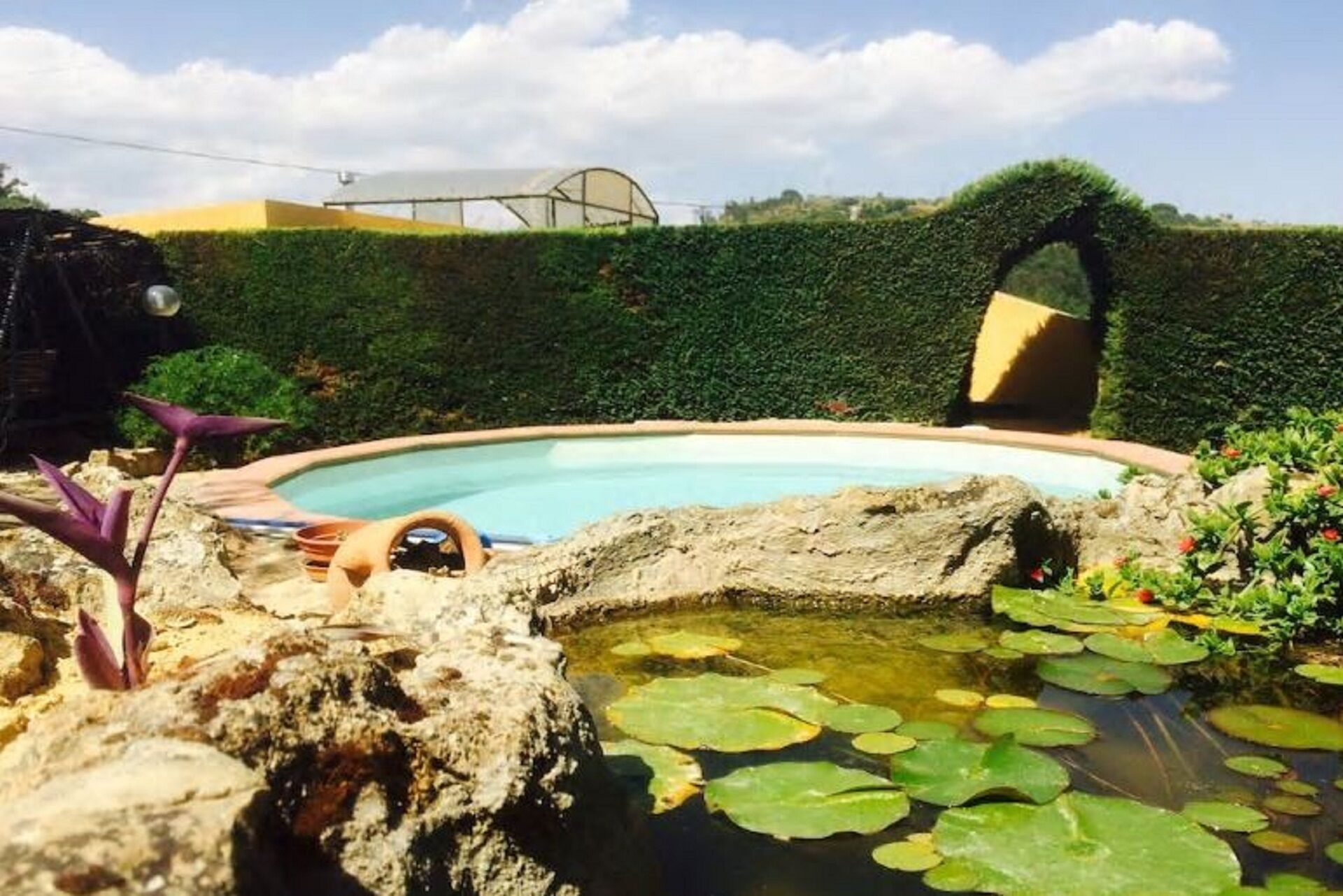 Pool