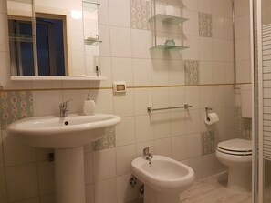 Shower, hair dryer, bidet, towels