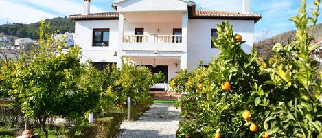A two-story house with a balcony, surrounded by an orchard with orange trees.