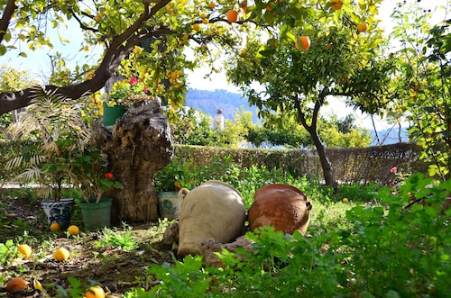 Parador del Silo (Alhambra, beach, snow and Alpujarra) Air Conditioning and Wifi