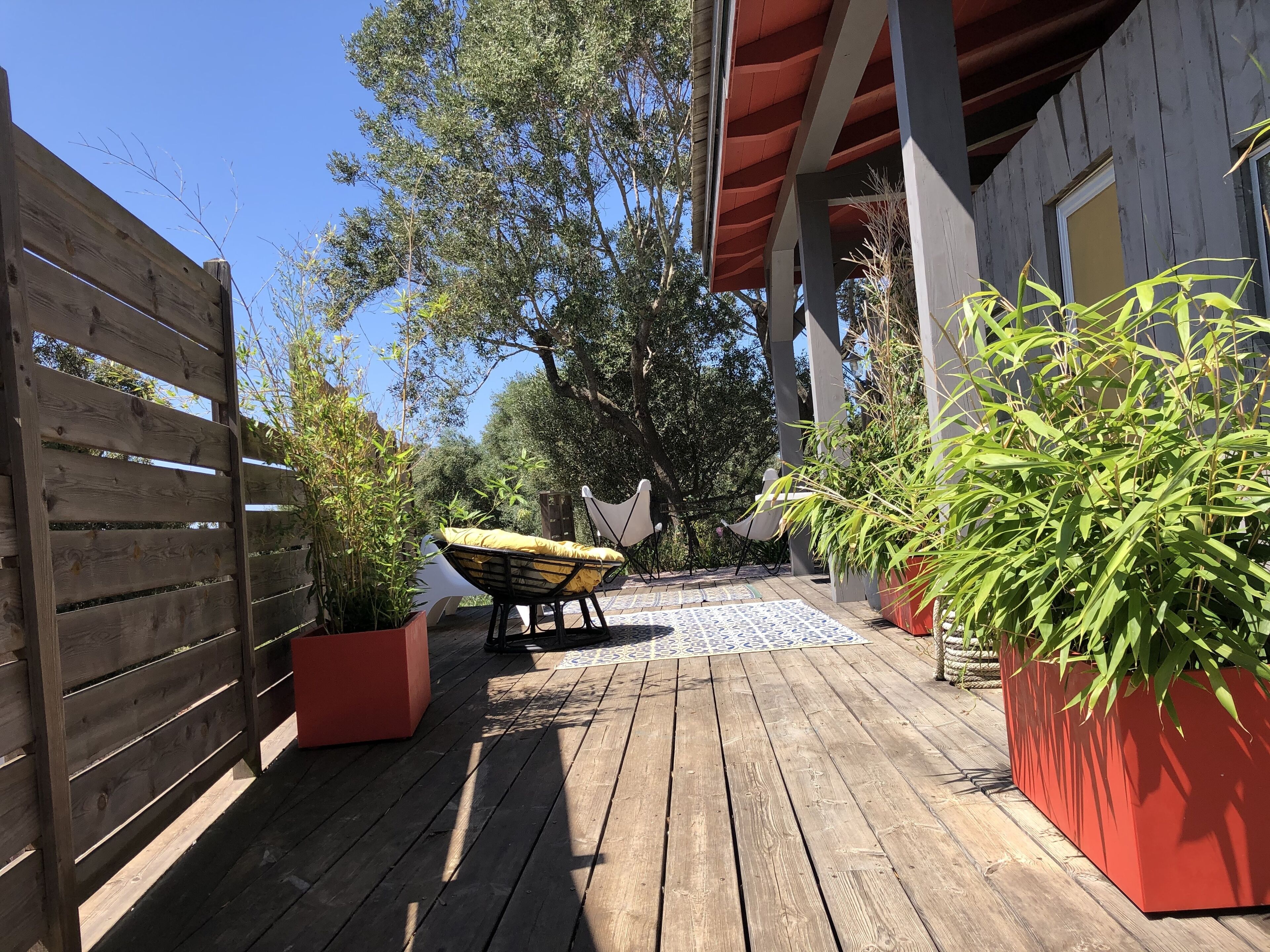 A wooden deck with a hammock, potted plants, and a pergola.