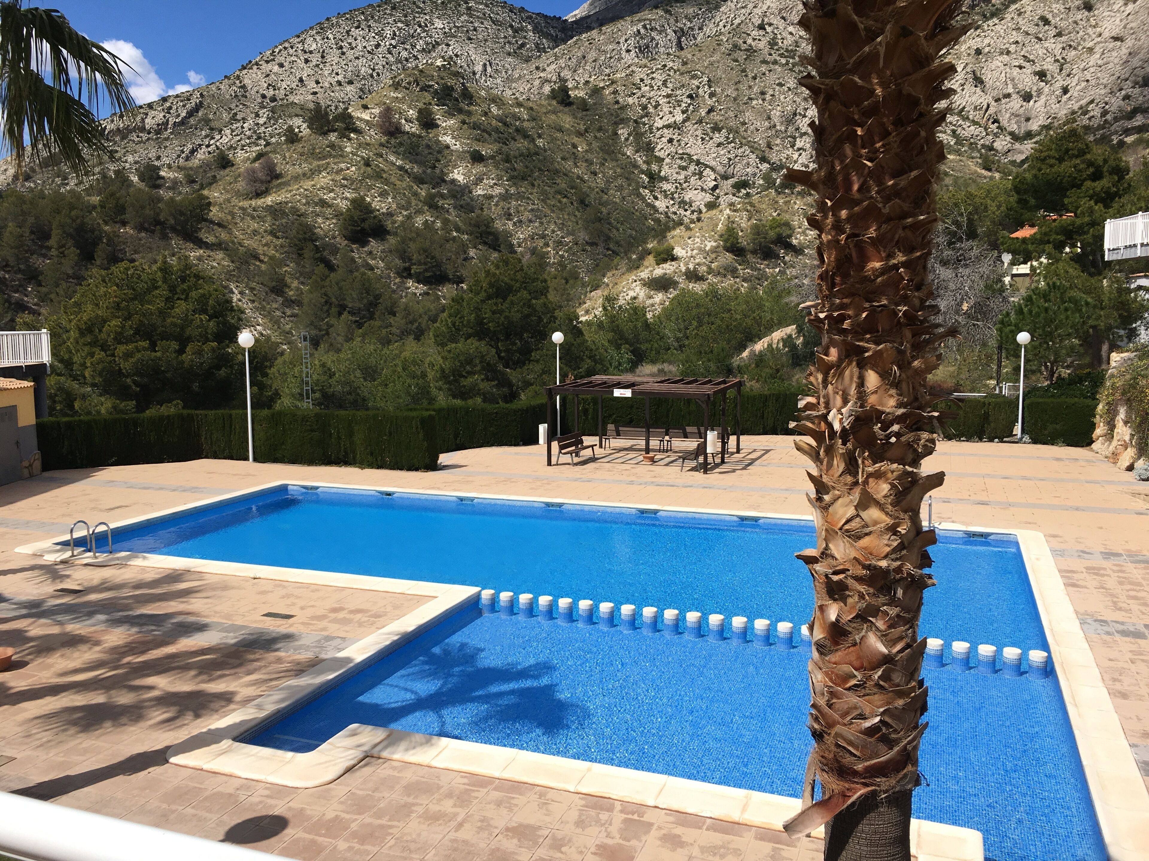 En swimmingpool med utsikt över berg, ett palmträd och en lusthus.