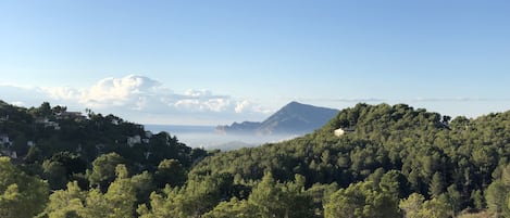 منوع