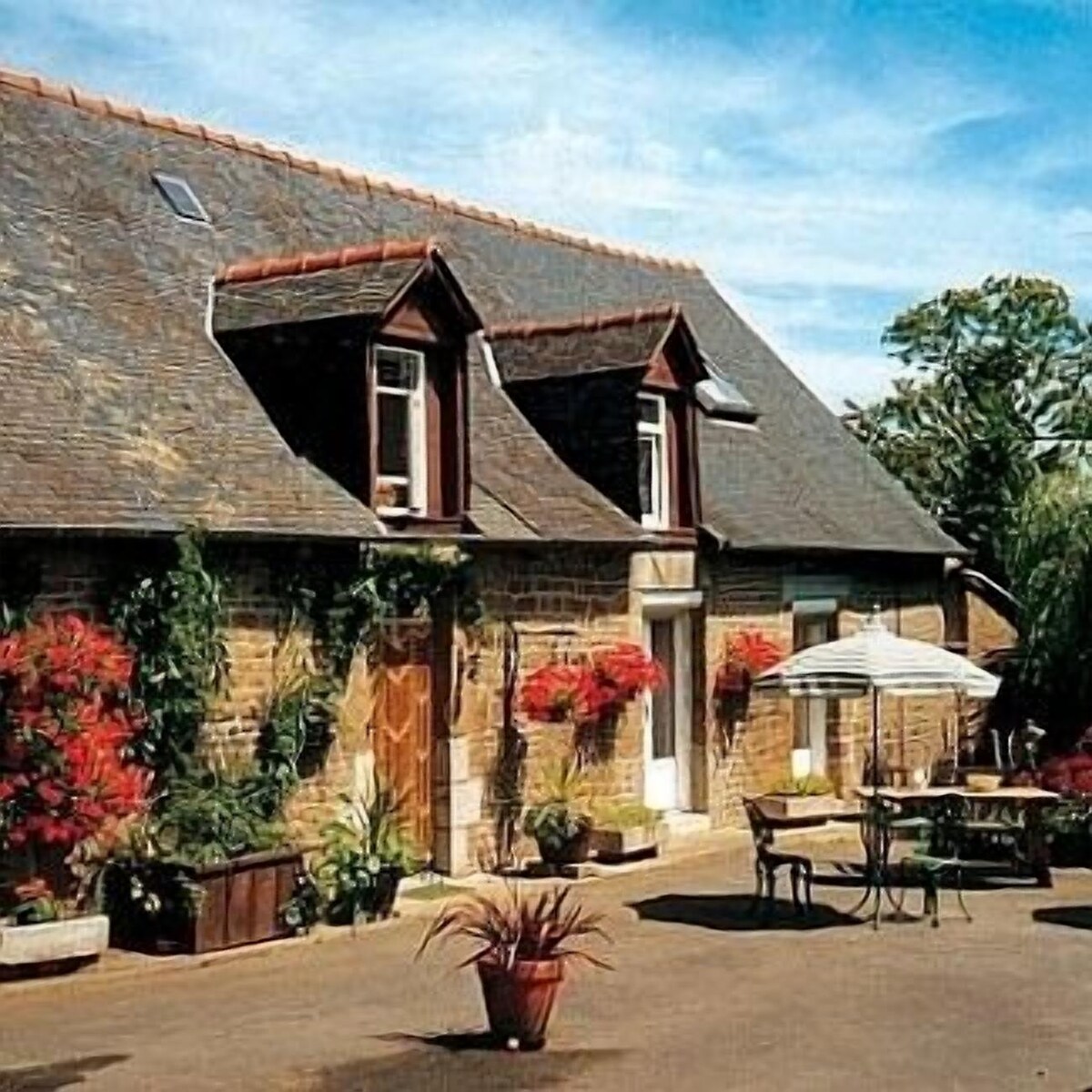 Image de profil de l’hôte