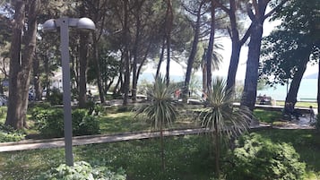 Parco della struttura