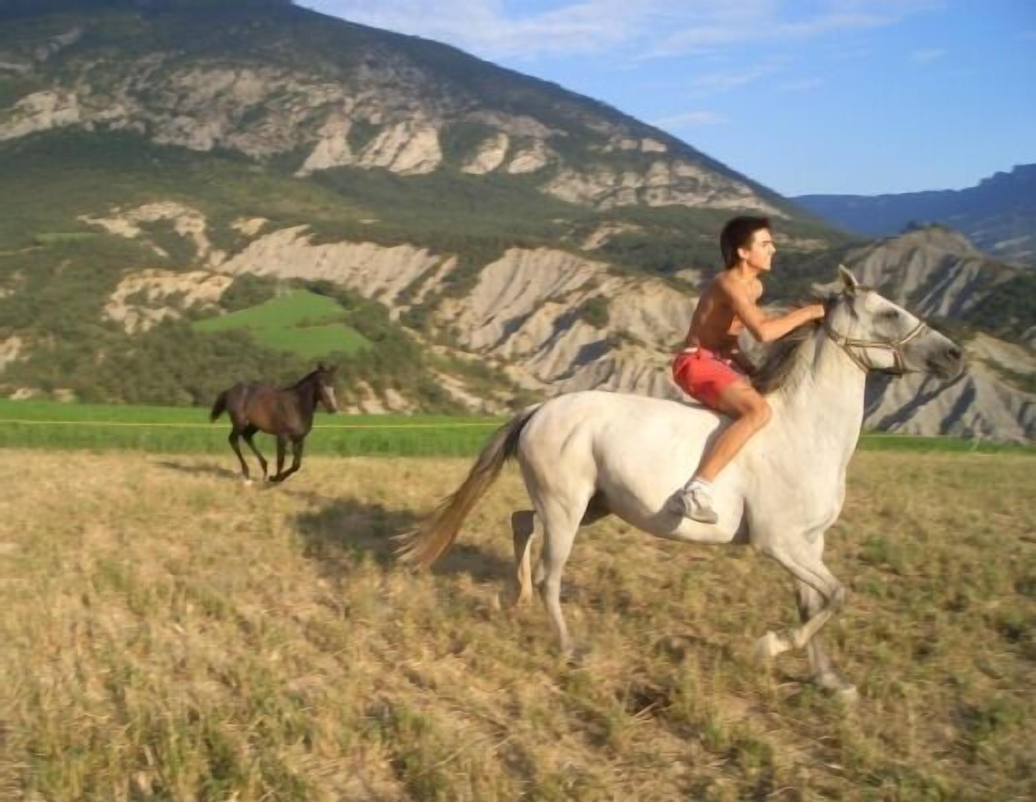Una persona montando un caballo blanco en un campo cubierto de hierba, con montañas al fondo.