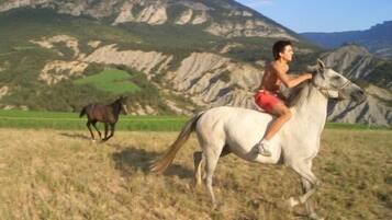 Una persona montando un caballo blanco en un campo cubierto de hierba, con montañas al fondo.