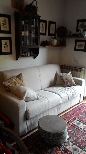 Smart TV, fireplace, DVD player, books