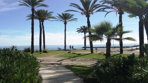 Un camino pavimentado que lleva a una playa con palmeras y una vista despejada del océano.