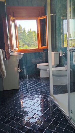 Ducha y bañera combinadas, secador de pelo, bidé y toallas