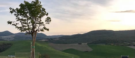 Alberca