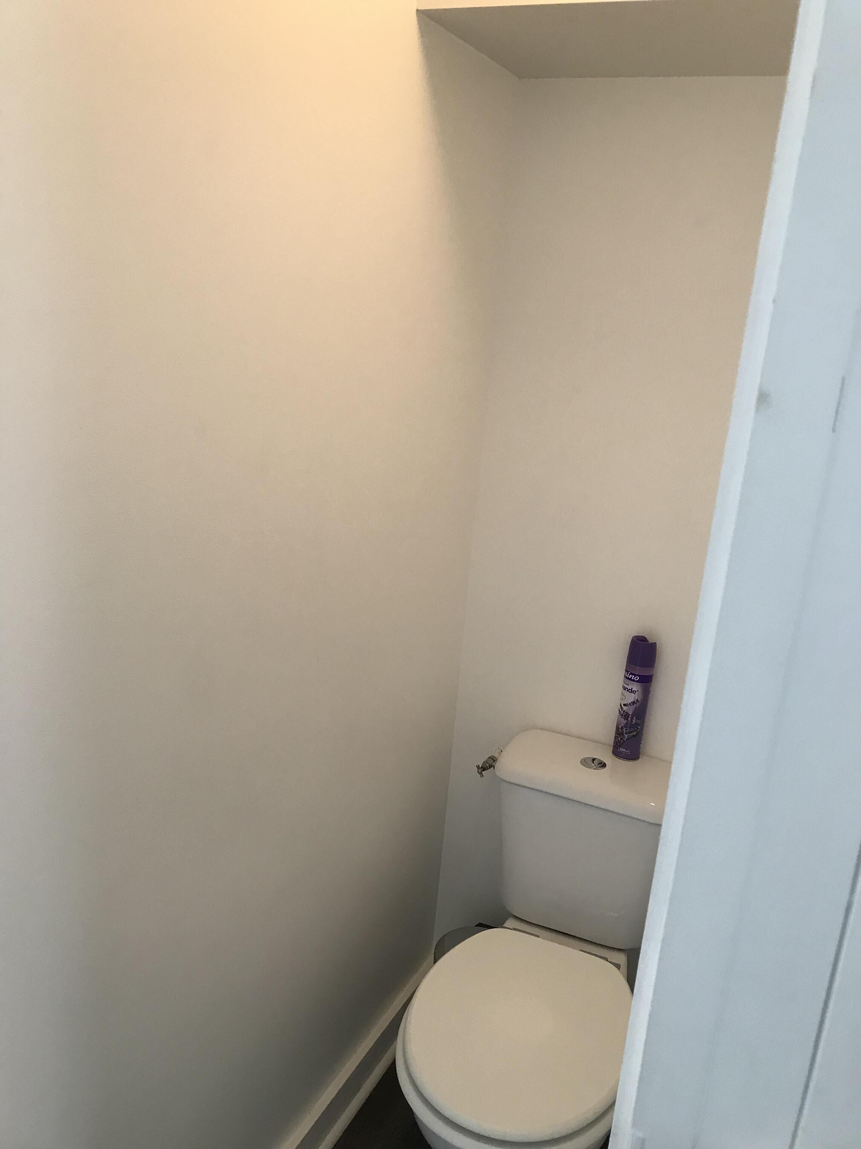 Une petite salle de bain blanche, avec des toilettes et une étagère sur laquelle est posé un produit de nettoyage.