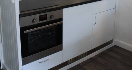 Ski Apartment In Flaine - Best Resort For Snow Levels