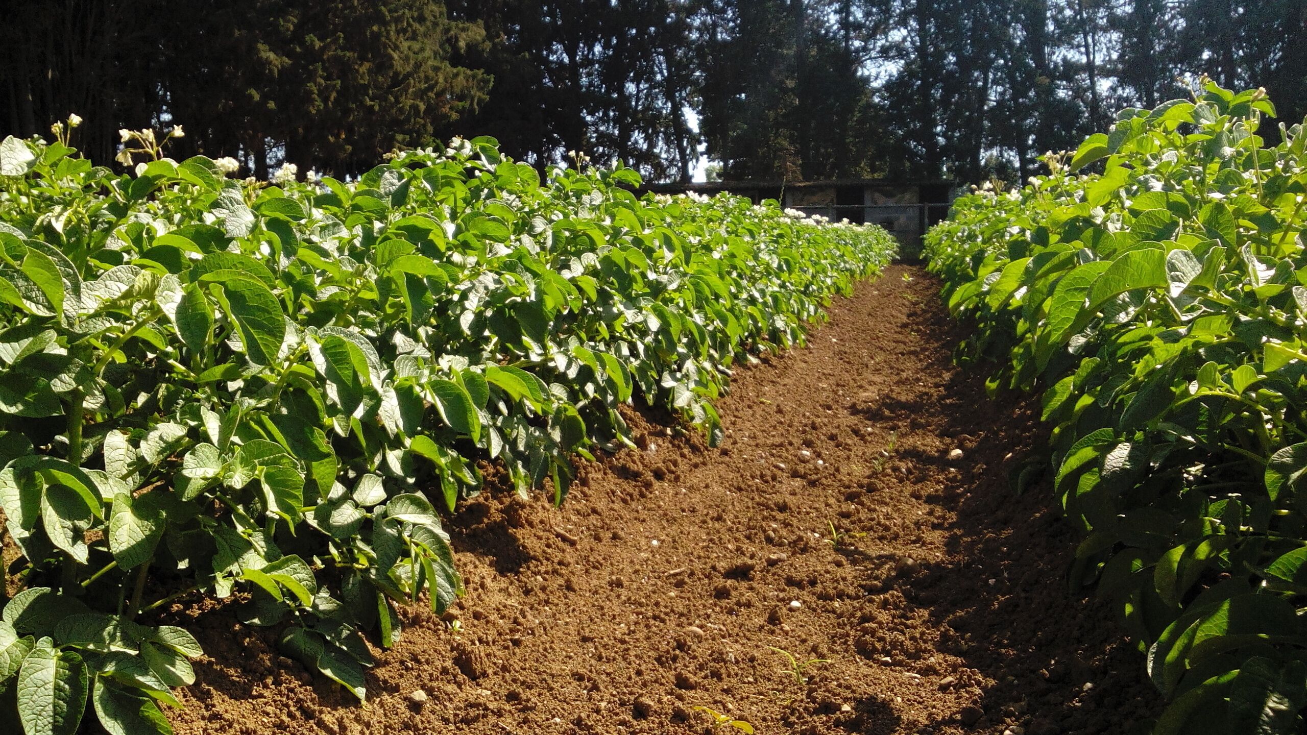 Bed & Breakfast "Angolo Azzurro"