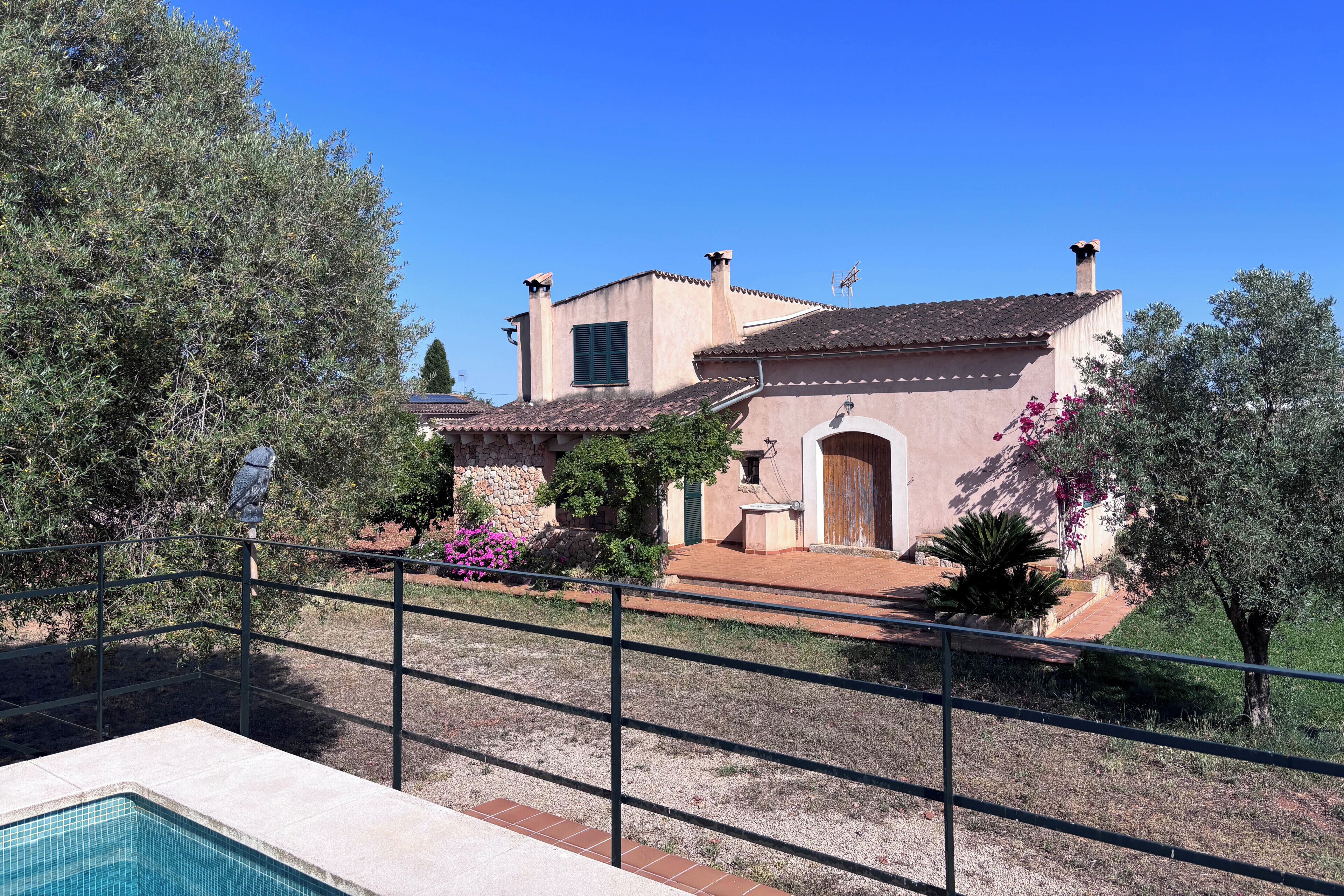 A house with a swimming pool, a garden with various plants, and a clear blue sky.