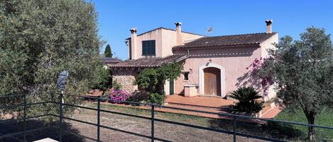 A house with a swimming pool, a garden with various plants, and a clear blue sky.