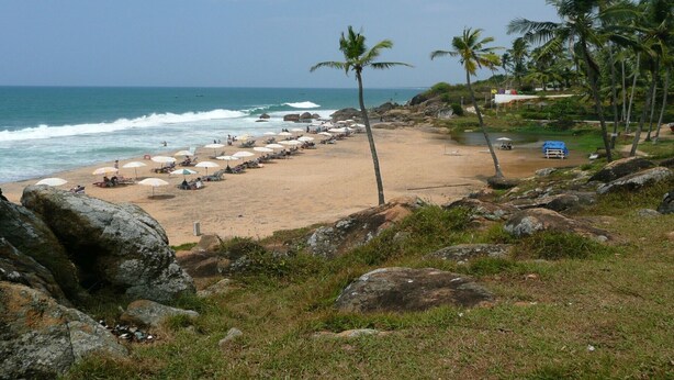 Une plage avec des parasols, des chaises longues et des palmiers.