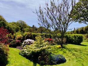 Terrain de l’hébergement 