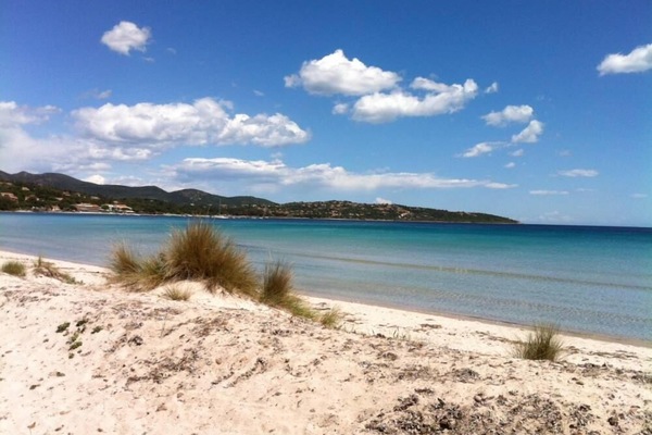 la plage de Pinarello derrière la pinède