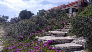 Una casa con techo de tejas rojas, escalones de piedra y un jardín con flores moradas.
