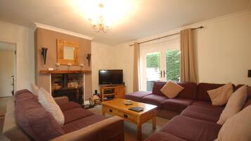 Smart TV, fireplace, DVD player, stereo