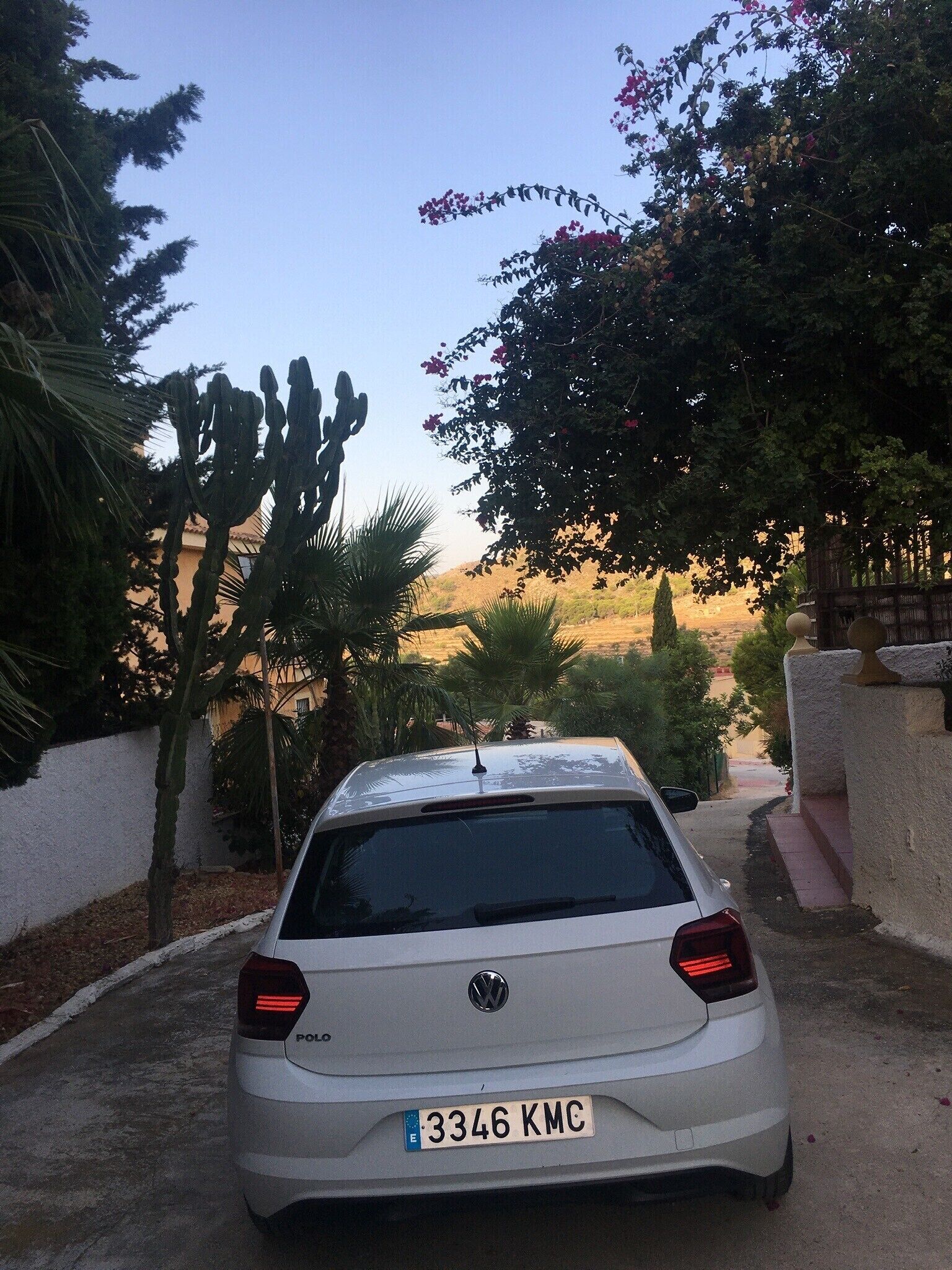Een witte Volkswagen Polo staat op een straat met een heldere lucht, omringd door cactussen en bloeiende planten.