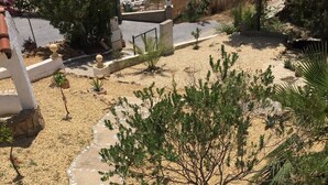Un jardí paisatjistic ple de plantes variades, un camí de pedra i un arbre petit al centre.