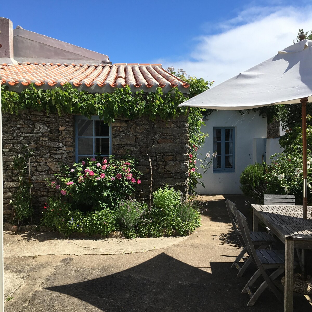 Image de profil de l’hôte