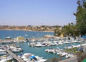 Boats docked in a serene marina adjacent to a coastline with sparse vegetation.