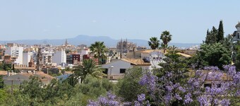 Villa in the City Center