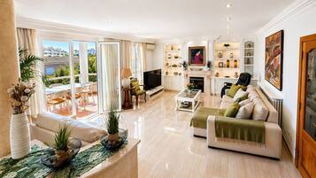 Smart TV, fireplace, DVD player, books