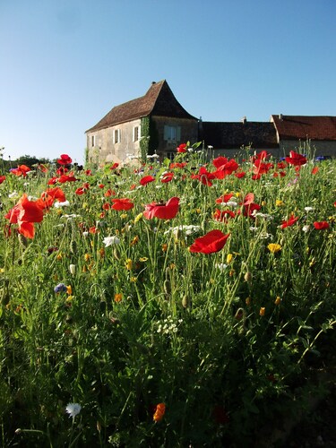 Rigal farmhouse - 100 acres of relaxation and fun at our family friendly farm