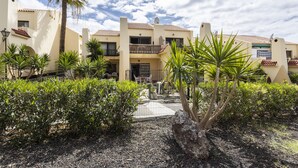 Un edificio con un patio interior, rodeado de palmeras y arbustos.